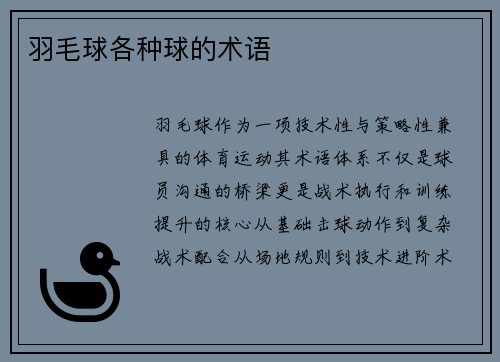 羽毛球各种球的术语