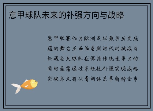 意甲球队未来的补强方向与战略