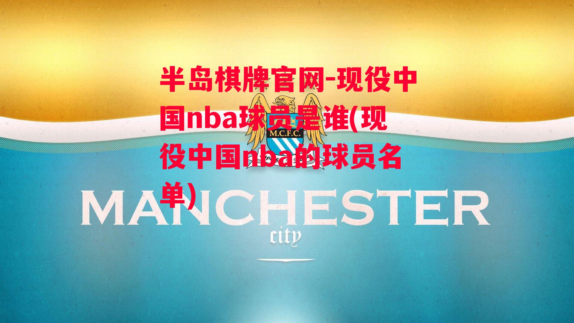 现役中国nba球员是谁(现役中国nba的球员名单)